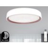 LED stropná lampa OPAL + DO + OVLÁDANIE HLASOM 48W - LC902MV