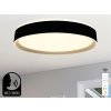 LED stropná lampa OPAL + DO + OVLÁDANIE HLASOM 48W - LC902MBV