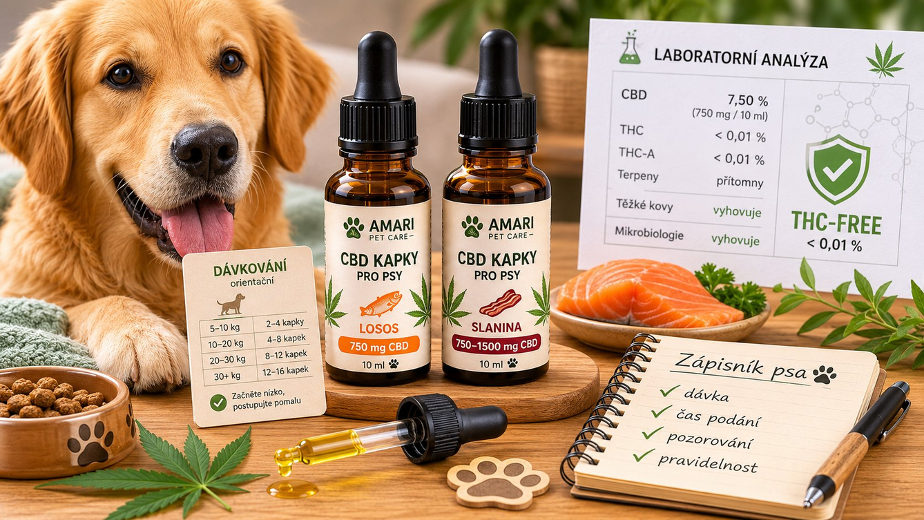 CBD kapky pro psa – jak vybrat a kolik dávat