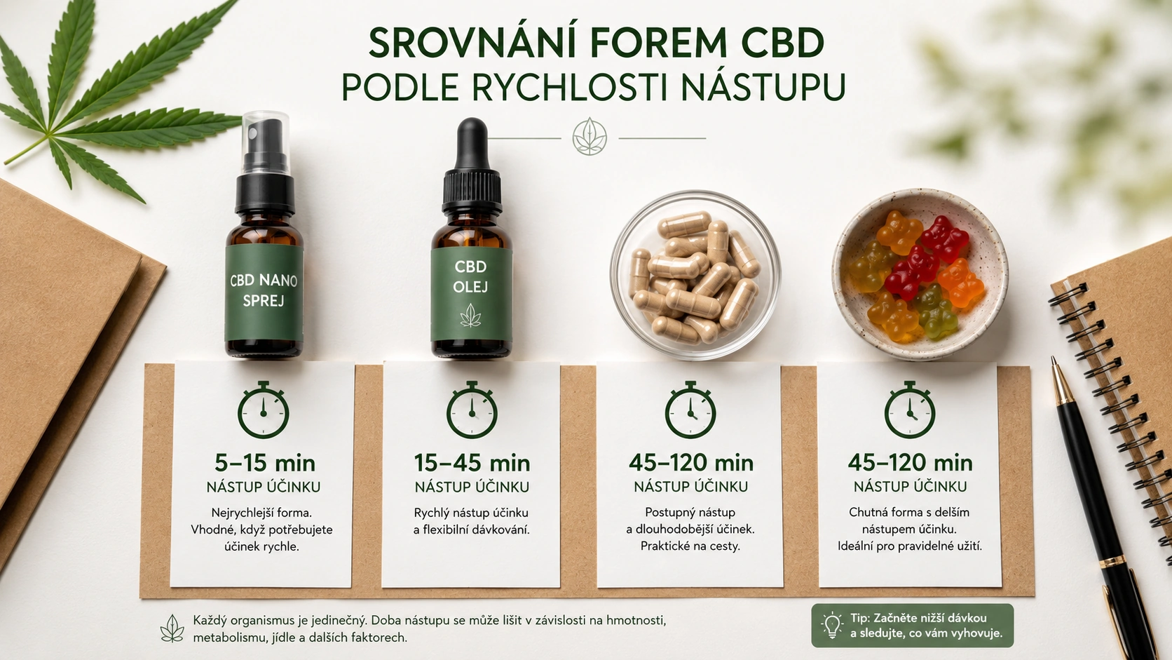 Účinky CBD – co potvrzuje věda a co je marketing