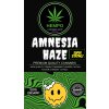 AMNESIA.zip 3