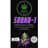 AMNESIA.zip 10