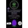 AMNESIA.zip 43