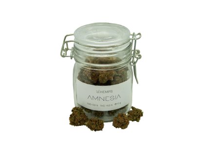 CBD konopí Amnesia