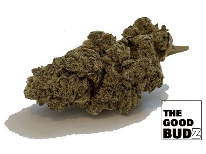 CBD konopí White Russian