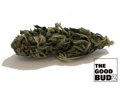 CBD konopí Cotton Kush V2