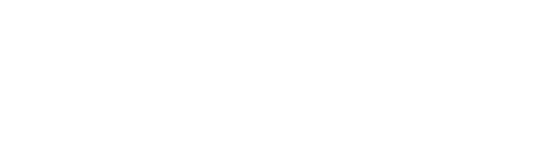 Primary Raster logo
