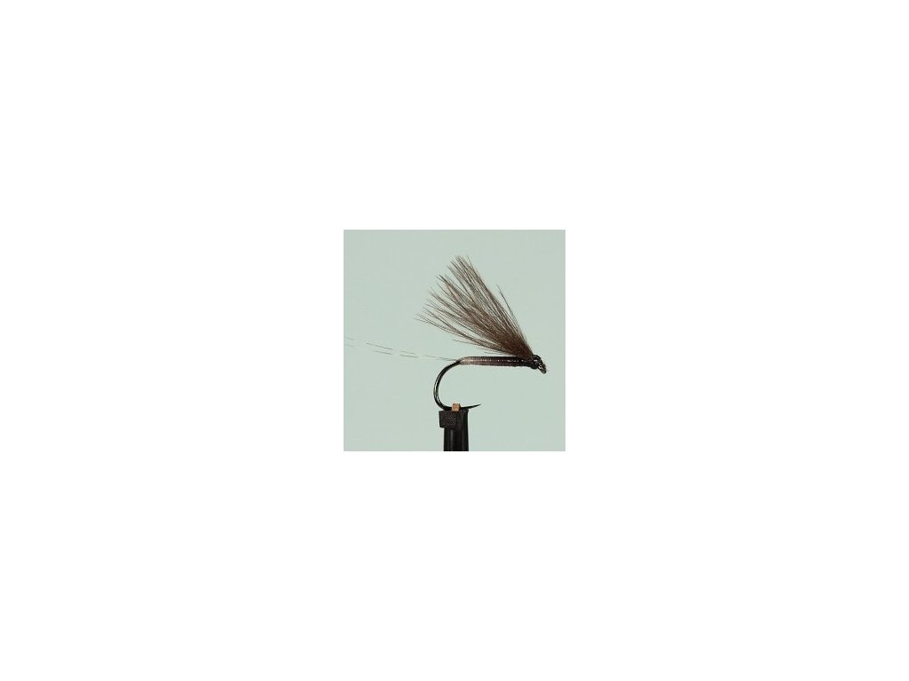 BODY QUILLS MULTICOLOR - Beige Tip/Grey Body;BODY QUILLS MULTICOLOR - Beige Tip/Grey Body