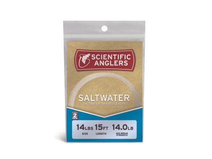 Saltwater Leader 12ft