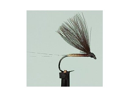 BODY QUILLS MULTICOLOR - Beige Tip/Brown Body;BODY QUILLS MULTICOLOR - Beige Tip/Brown Body