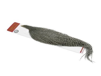 Whiting Silver 1/2 Cape