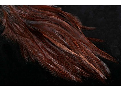 MFT35