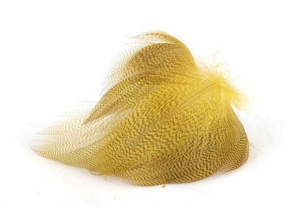 Duck velké 06 Yellow