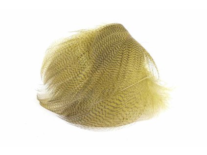 Duck velké 29 Olive