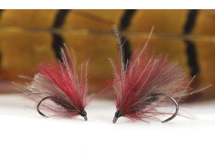 CH03 Black Red Sedge 2