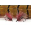CH03 Black Red Sedge 2