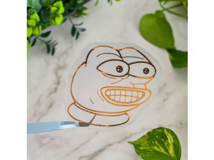 20250312 155629 Original