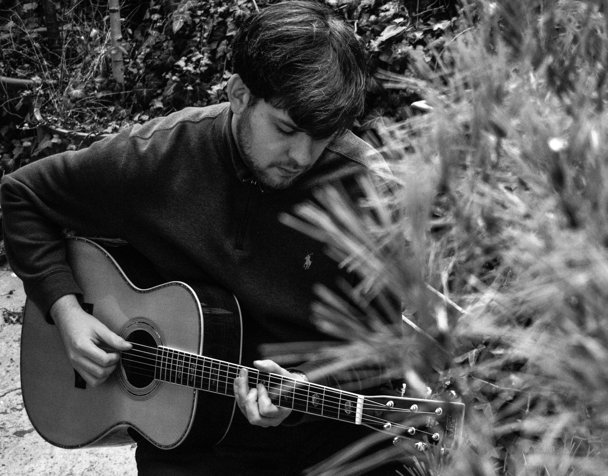 Verbeugen Sie sich vor dem Königspaar – Vorstellung der Monarch-Serie