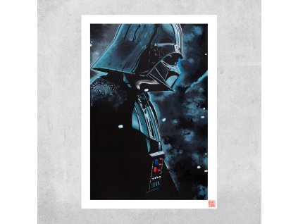 DarthVader repro web final final
