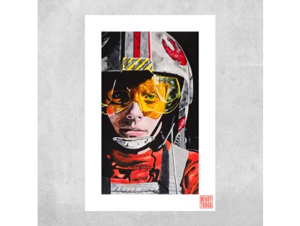 LukeSkywalker repro web final final