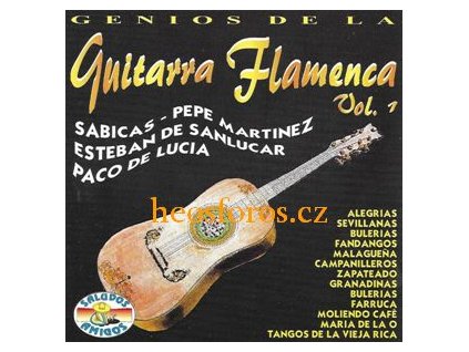 GuitarraFlamenca