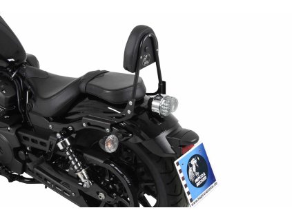 6004538 00 01 sissybar ohne gepaeckbruecke