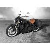 fb indian scout shop 19a9ee