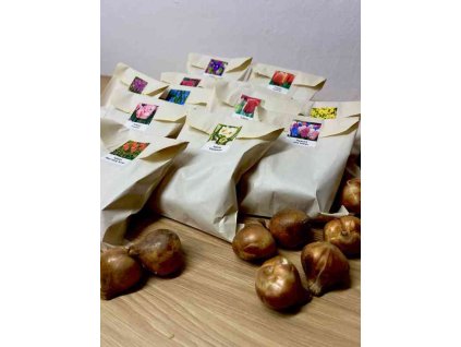 Velký starter pack - Cibuloviny (130 ks)