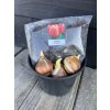 Tulipán ´Verandi´ – pěstební sada