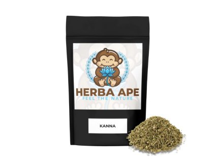 Návrh bez názvu (9)