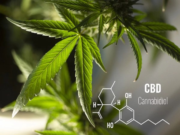 CBD zmírňuje příznaky u dospívajících s autismem
