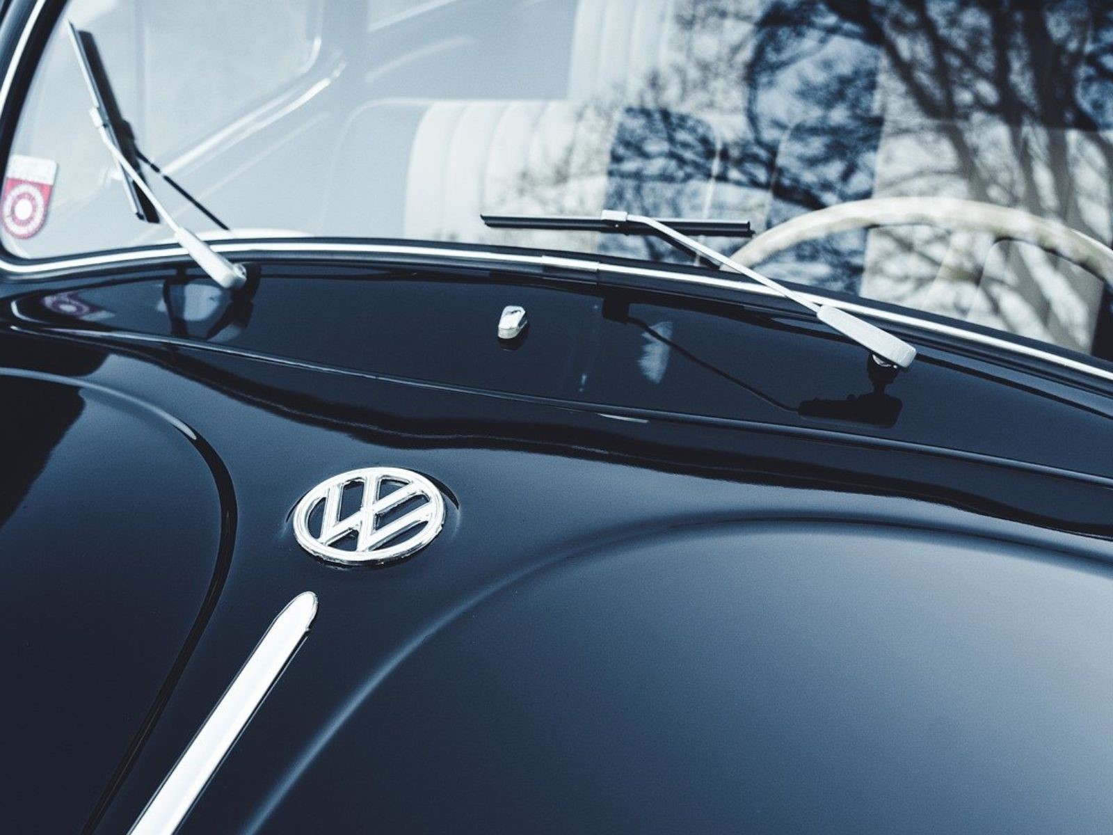 Volkswagen bude zkoumat a vyvíjet konopné materiály