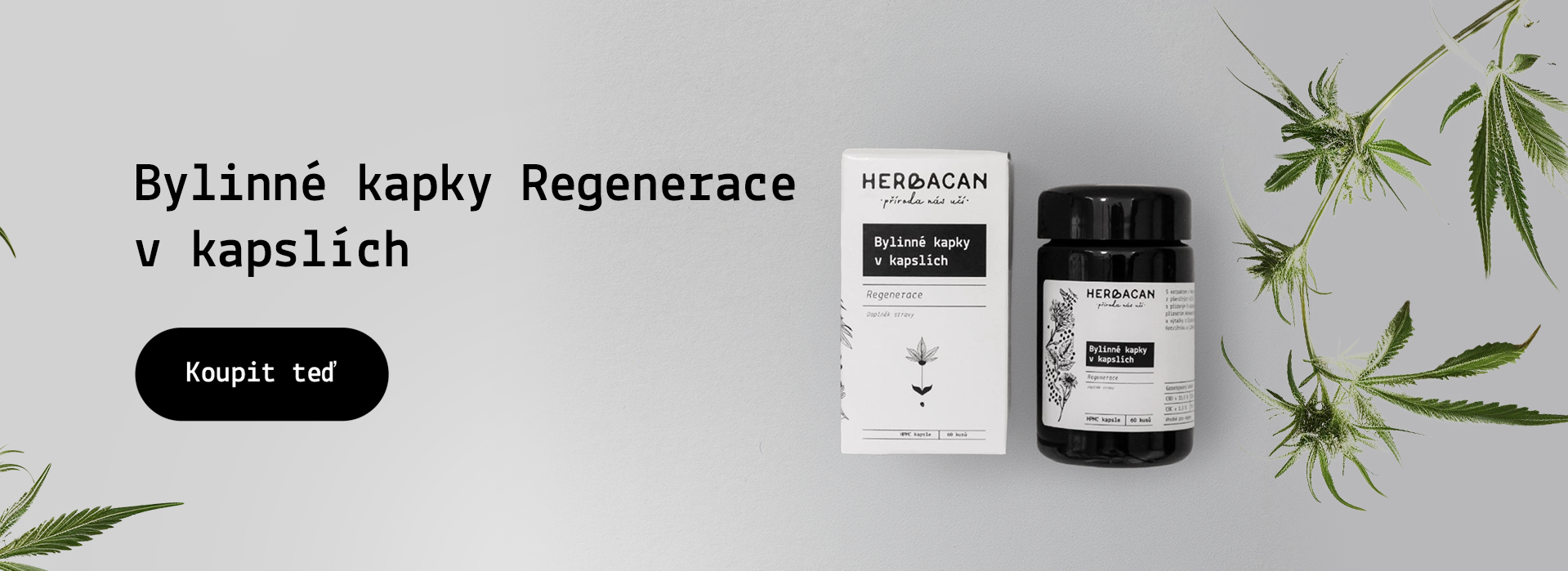Regenerace v kapslích