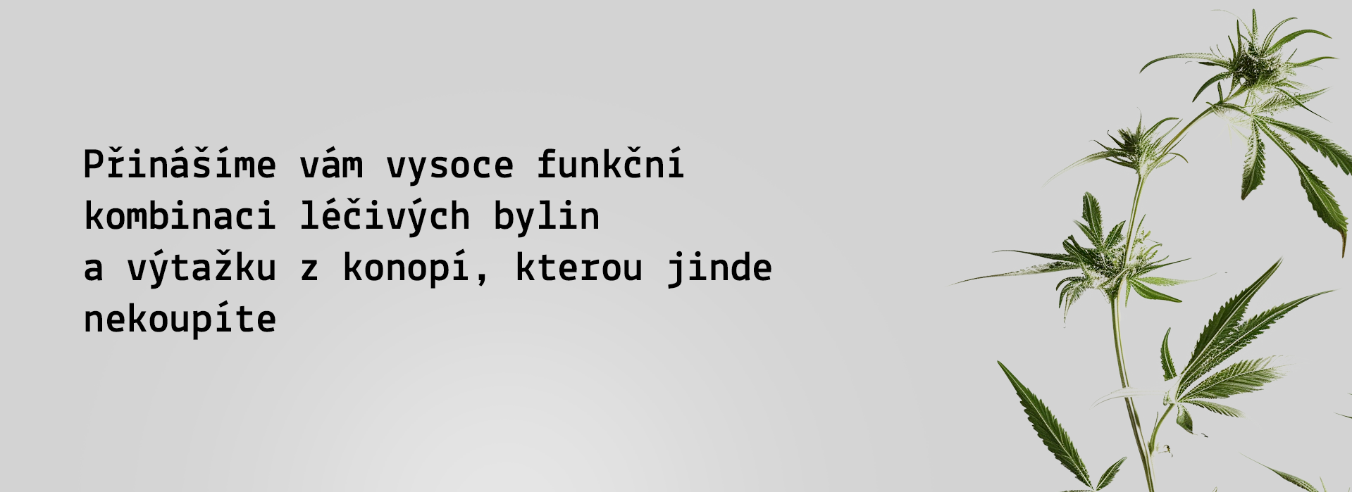 Obecný