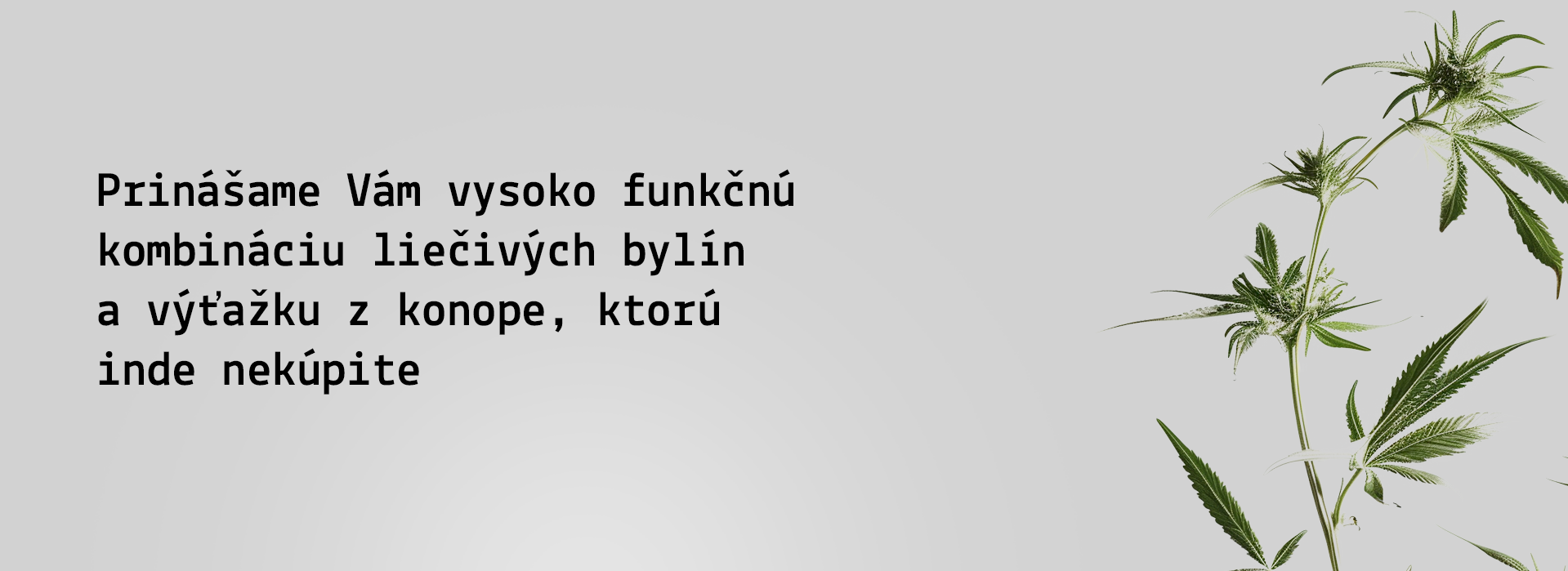 Vysoko funkčná kombinácia