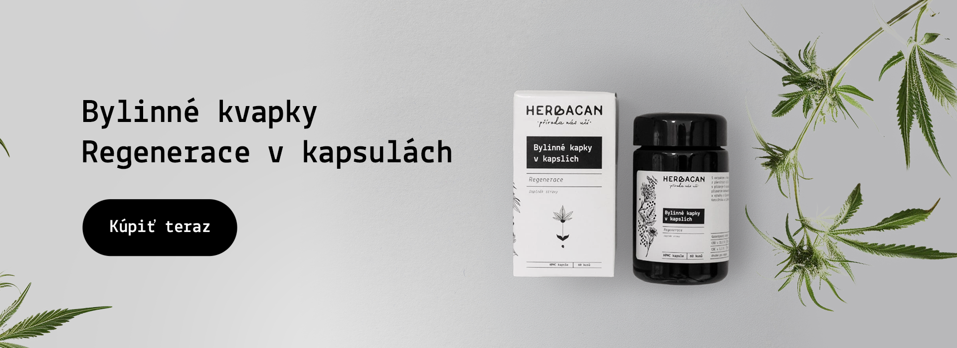 Regenerace v kapslích