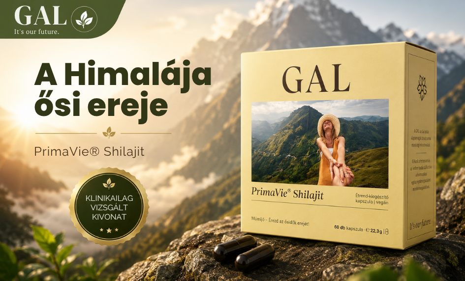 shilajit