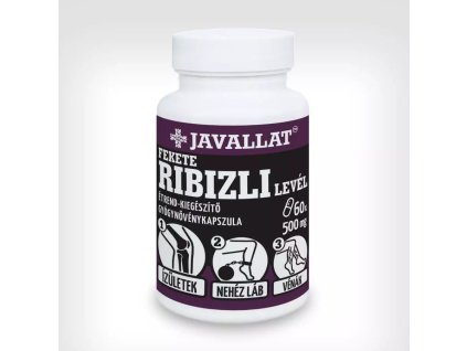 fekete ribizli level2.jpg