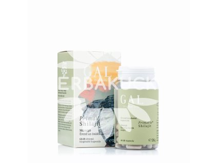 PrimaVie® Shilajit