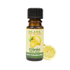 Citrón – Citrus limon