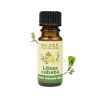 Litsea Cubeba