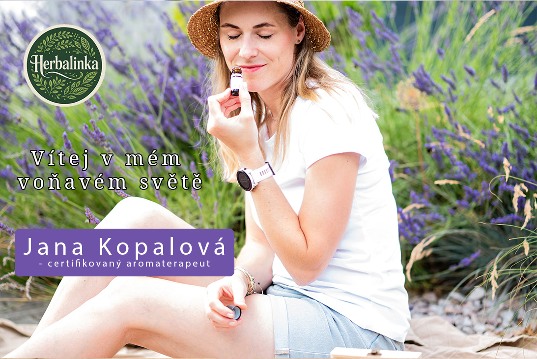Úvodní banner