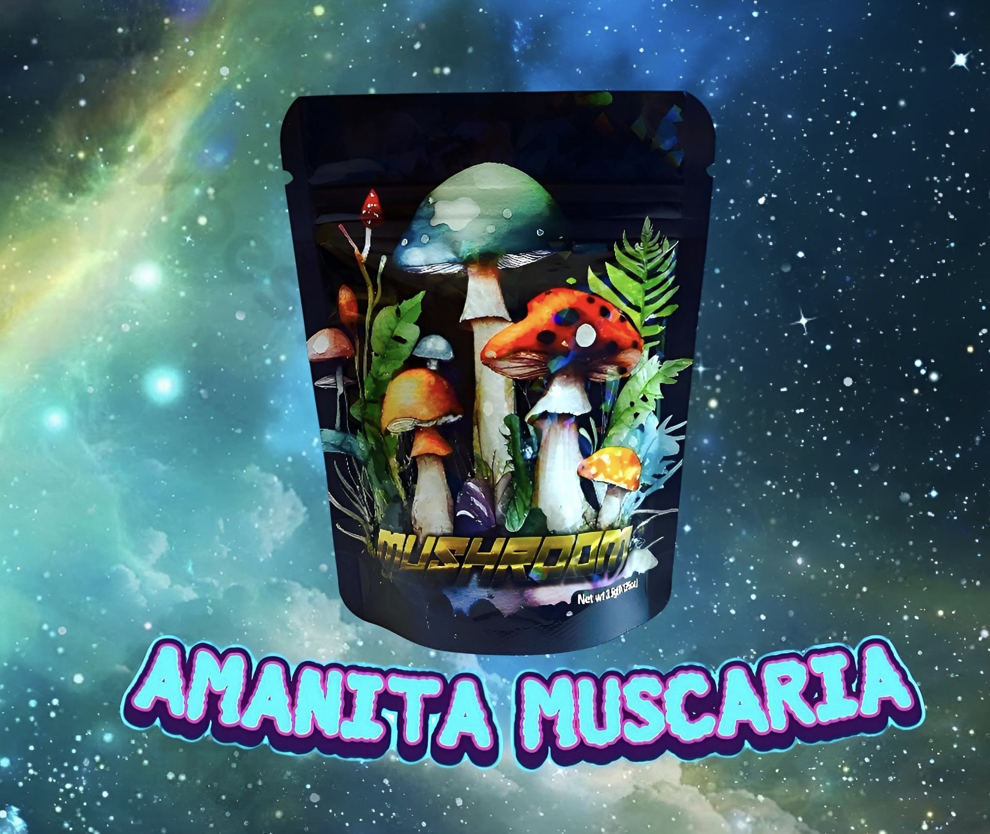 Amanita Muscaria