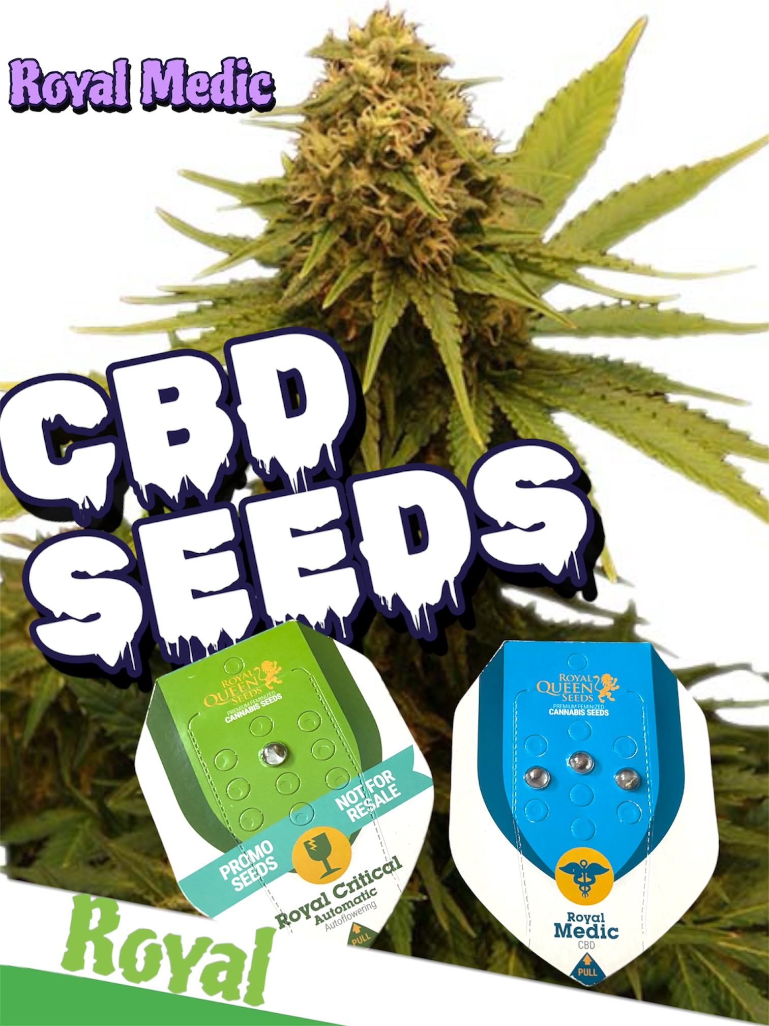 CBD