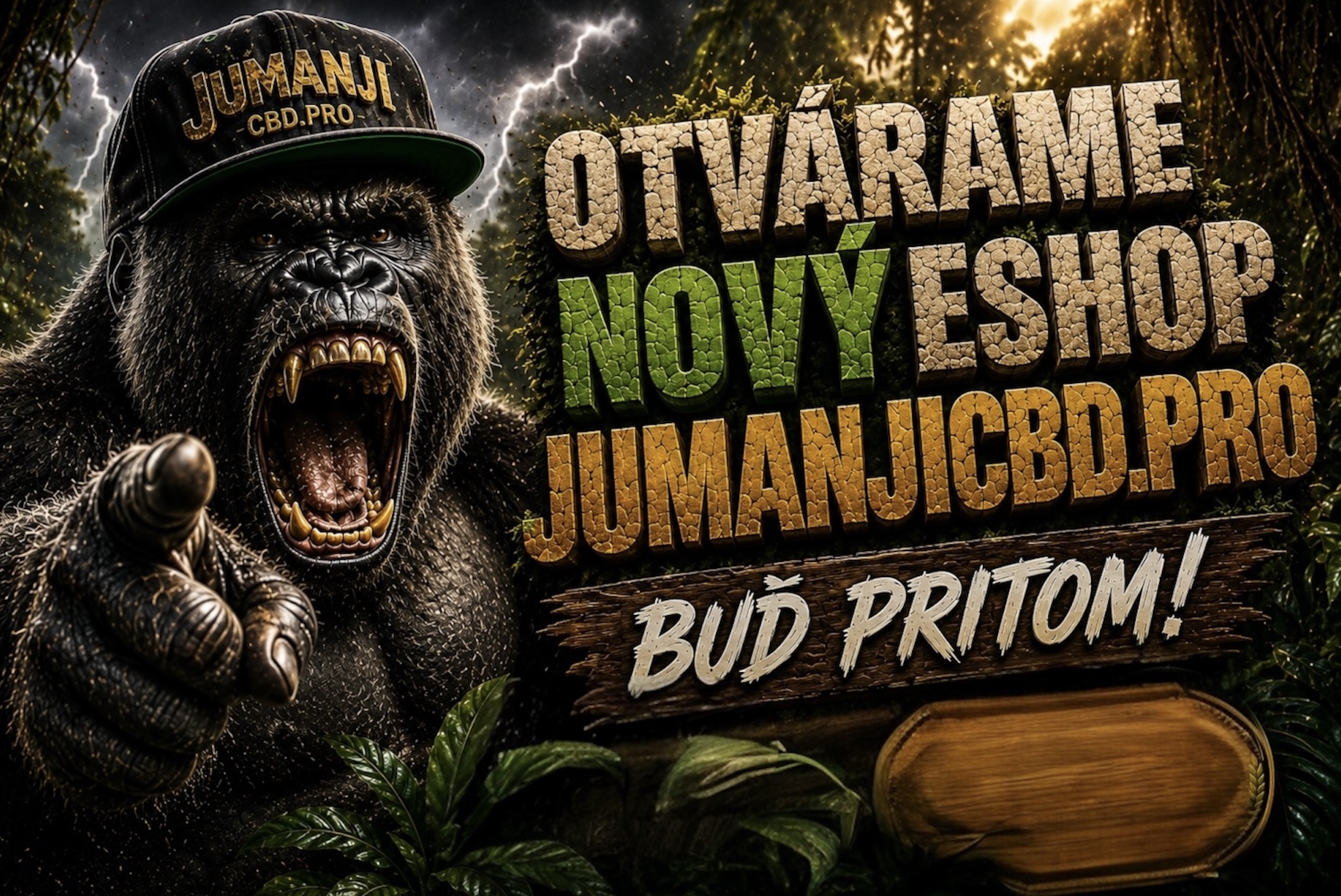 Novy eshop