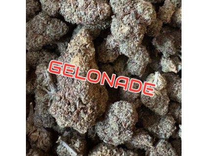 Photoroom 20250822 195953