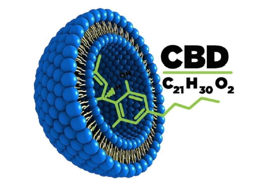 Co je CBD a proč NANO CBD?