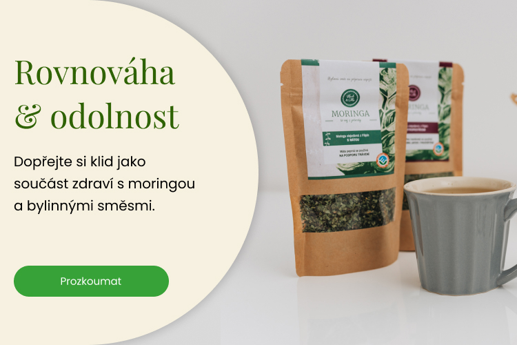 Rovnovaha_mobil