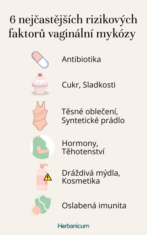 Infografika rizikových faktorů vaginální kvasinkové infekce, včetně užívání antibiotik, vysoké konzumace cukru a nošení těsného syntetického oblečení.