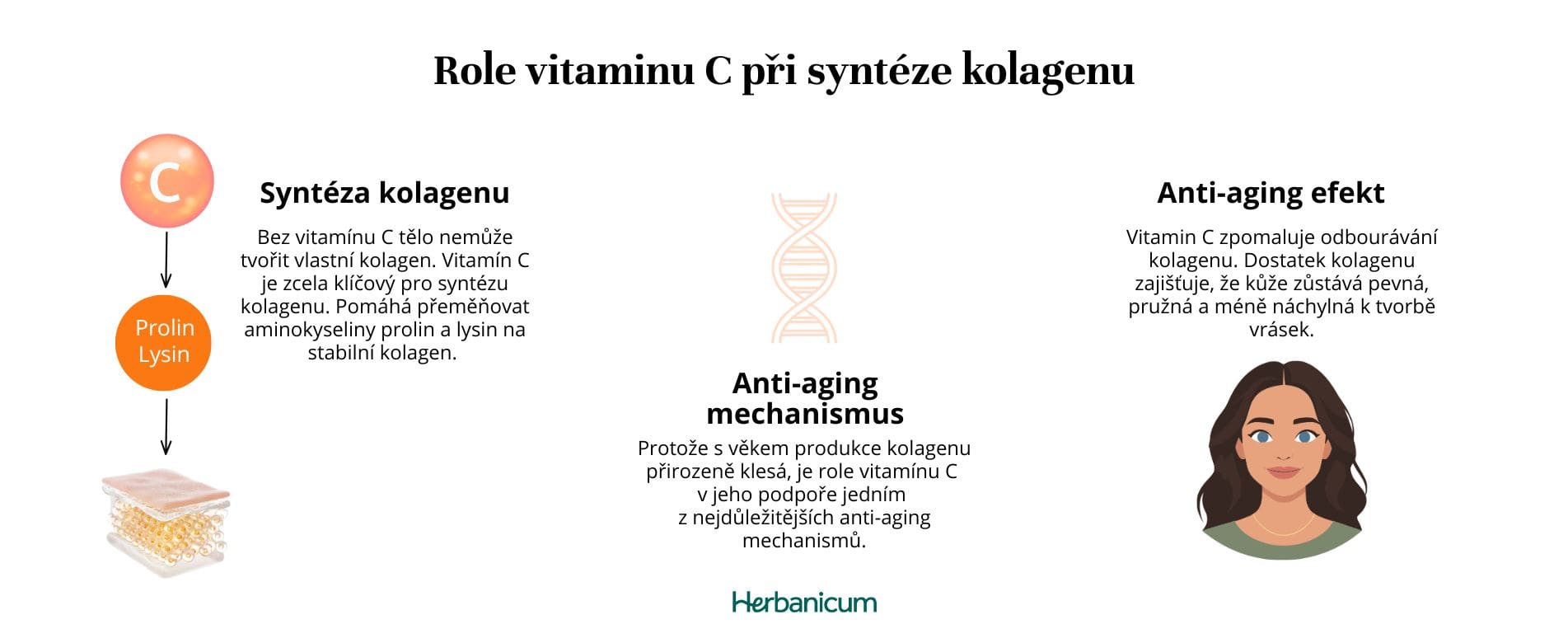 Schéma role vitamínu C jako kofaktoru při syntéze kolagenu pro pevnou pokožku a tkáně.